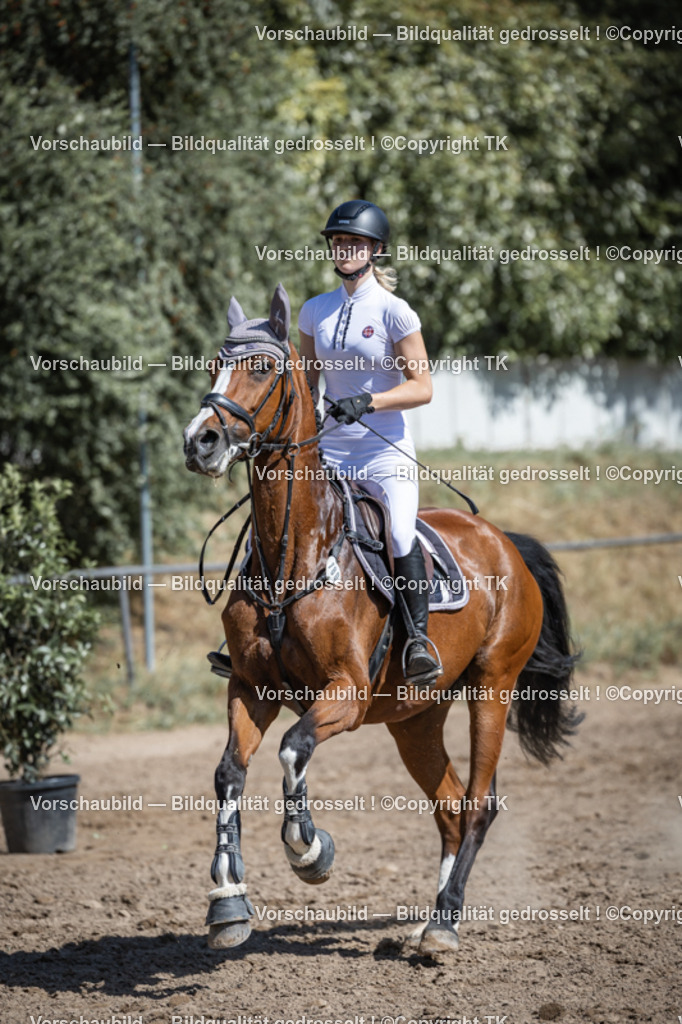 _D5A7673 | Emotionale Pferde- & People-Fotografie rund um Heidelberg, Leimen & Umgebung. Natürliche Fotos von Pferd, Mensch & Familie. Jetzt Termin sichern!