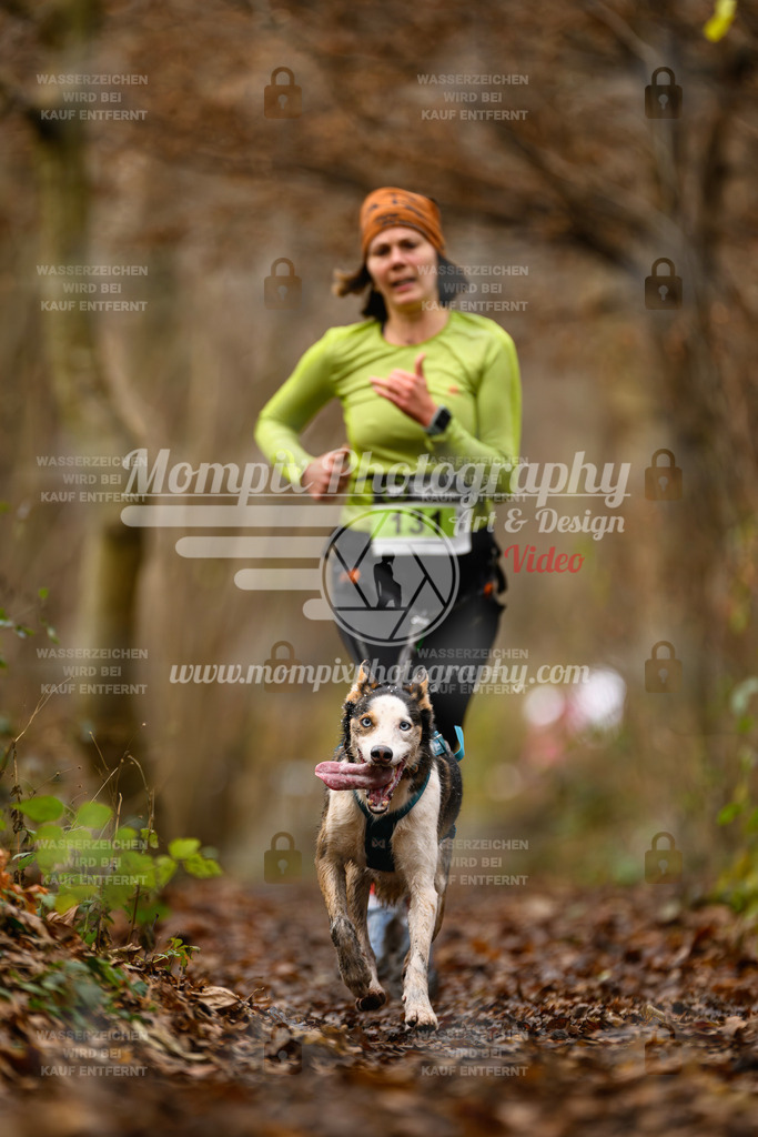 MompixPhotography_Eschau2024_CCL-82 | PayLife