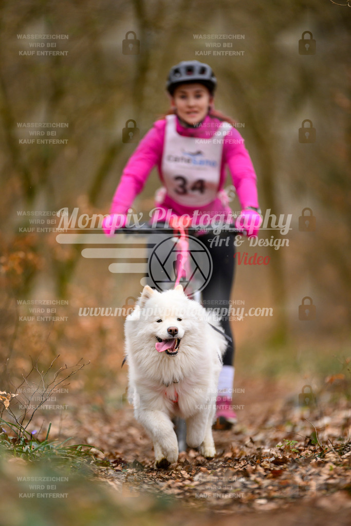 MompixPhotography_ReiatRennen2024_SO_Bike1H-28 | PayLife