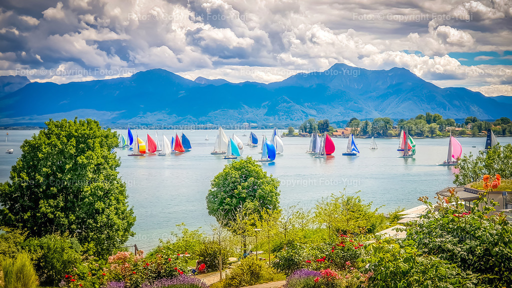 foto_yugi_0037 | Ansichten aus Würzburg sind Sehenswürdigkeiten die vom Herrn Ugur Yurdagül (foto-yugi) fotografiert und bearbeitet wurden.
Die Bilder wurden dem Komposition entsprechend bearbeitet und können als Print- oder Onlinemedien verwendet werden.