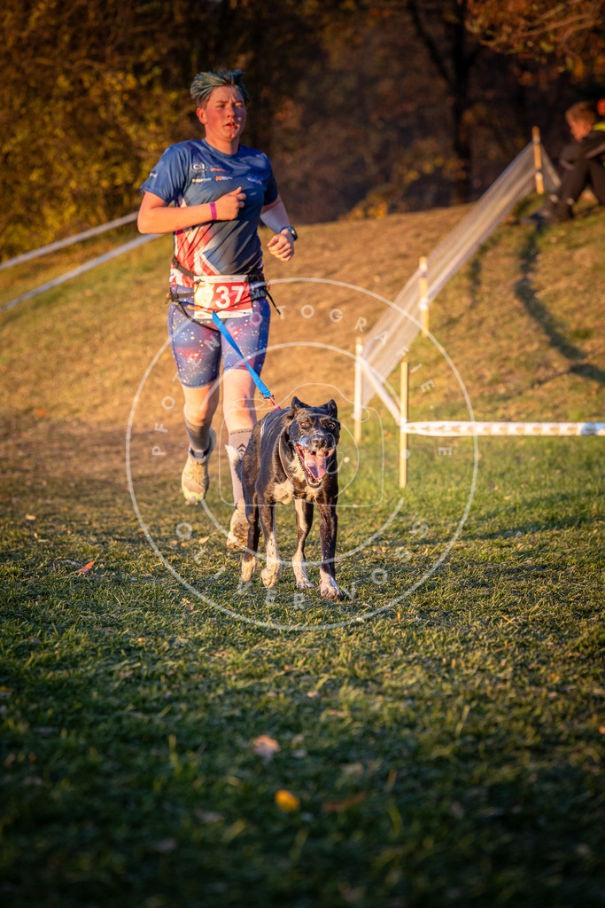 CaniXpix_0L8A1913 | Hundefotografie, Tierfotograf, Pfotenfotografie, Fotoshooting Hund, Hunde Portrait, Hundesport, Hundeportraits, Heideshooting, Hunde, Sportfotograf, Hundefotograf, Turnierhundsport, THS,  - Realisiert mit Pictrs.com