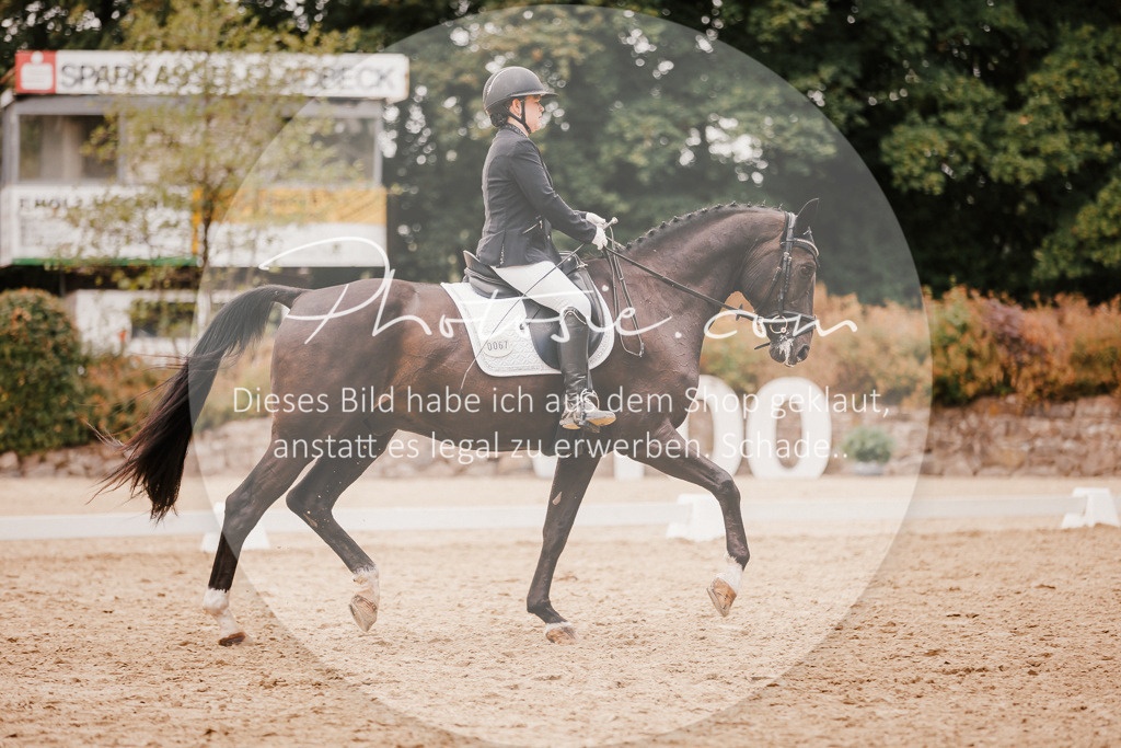 3I6A5978 | Stimmungsvolle Portraits und Reitsportfotografie im Ruhrgebiet und im Münsterland.

Pferdefotografie, Hundefotografie, Tierfotografie, Reportagen, Portraits von Tier und Mensch, Turnierfotografie in Bochum, Recklinghausen, Marl, Haltern am See, Dülmen.. - Realisiert mit Pictrs.com