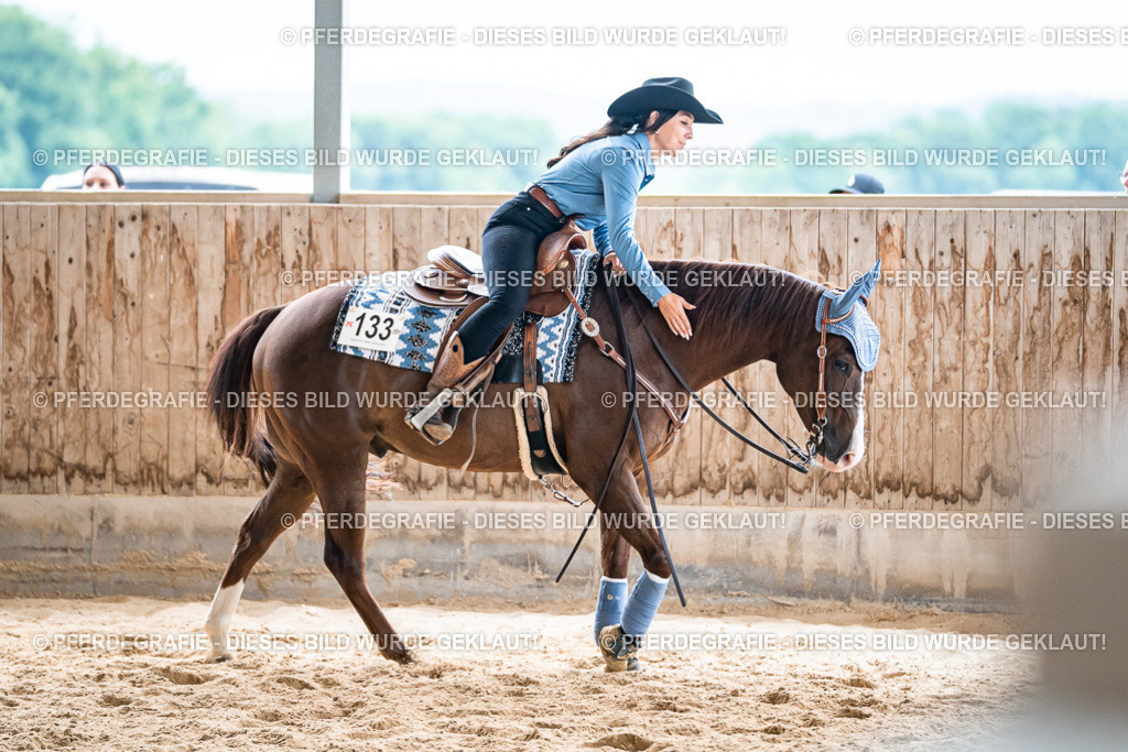 DSC08658 | Pferdegrafie