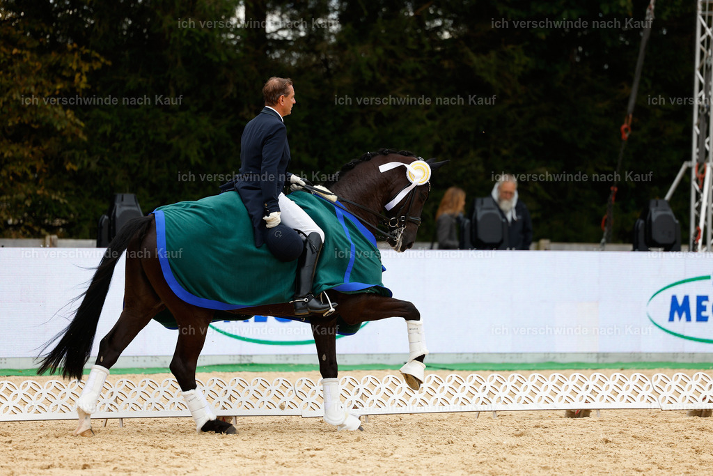 11-Siegerehrung-Dressur S___-StoibPH-849 | working equitationturnier fotograf videograf stoibphotography marixx film working equitation deutschland reitsport turnierfotografie eventfotografie equestrian events