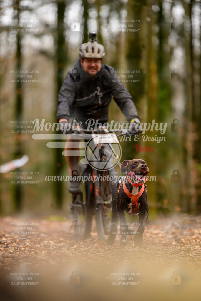 MompixPhotography_Habay2024_SA_Bike-73 | PayLife