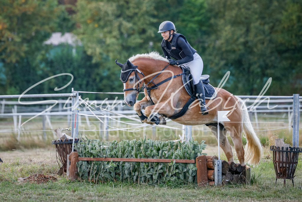 20250905-_3LI0387 | Tierfotografie Pferde, Hunde, Katzen, Haustiere.
Turnierfotografie Reitturniere, Reiten, Springreiten, Dressur in Hanau, dem Main-Kinzig-Kreis und dem Rhein-Main- Gebiet um Frankfurt