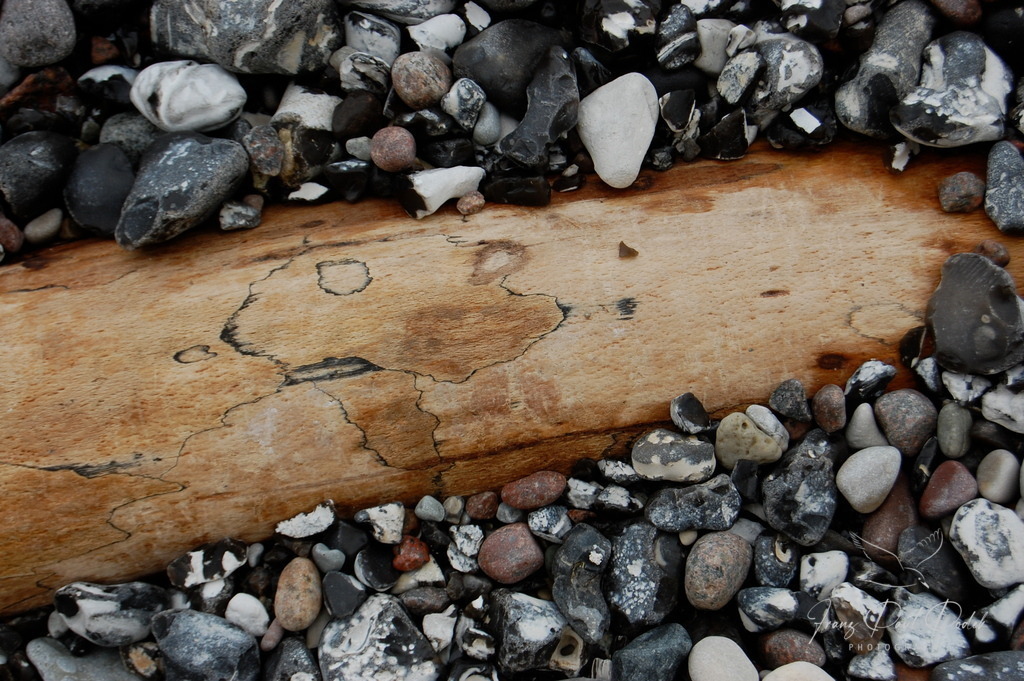 B545F648-81BA-411A-8F11-18DB840559DC | Franz Podek