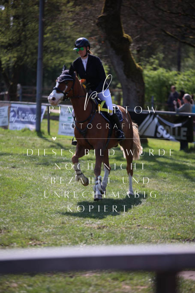 IMGT5757 | pl-fotografie