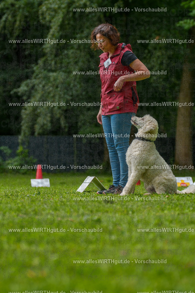 @allesWIRTHgut_Tierfotografie - www.allesWIRTHgut.de - 7R505193 | Professionelle Tierfotografie in Mönchengladbach von Daniel Wirth (allesWIRTHgut). Liebevolle & natürliche Bilder von Hunden & Katzen für unvergessliche Erinnerungen.