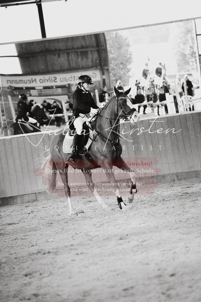DSC_7455 | Pferde- und Turnierfotografie in Westsachsen. Pferdeportraits, Auftragszeichnungen und intuitive Kunst.