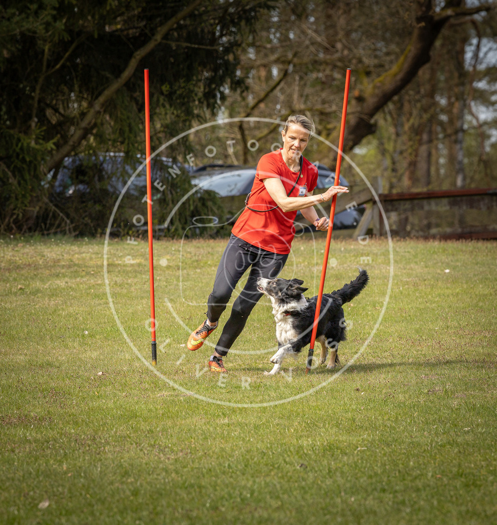 Pfotenfotografie_DV3A7623 | Hundefotografie, Tierfotograf, Pfotenfotografie, Fotoshooting Hund, Hunde Portrait, Hundesport, Hundeportraits, Heideshooting, Hunde, Sportfotograf, Hundefotograf, Turnierhundsport, THS,  - Realisiert mit Pictrs.com