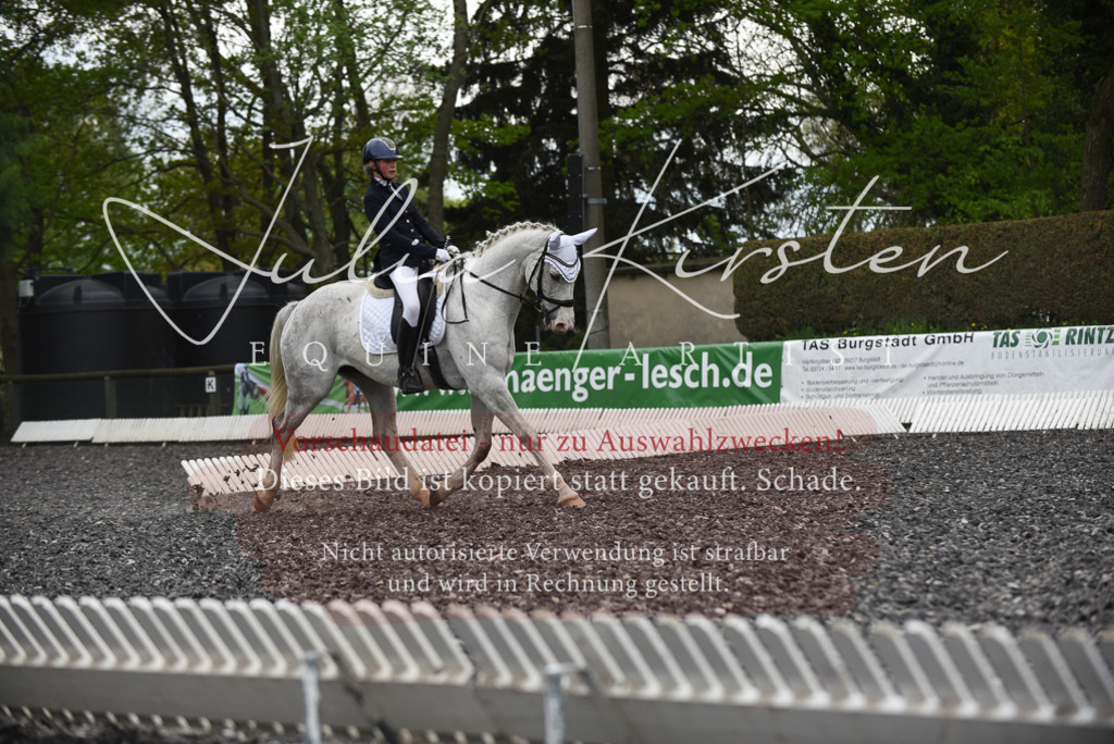 20230513_JK-Röhrsdorf-16-034 | Pferde- und Turnierfotografie in Westsachsen. Pferdeportraits, Auftragszeichnungen und intuitive Kunst.