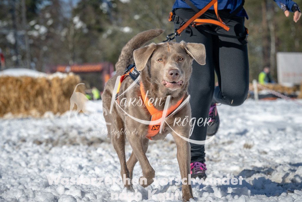 1107_ZZ90101-3 | kk-dogfotos
