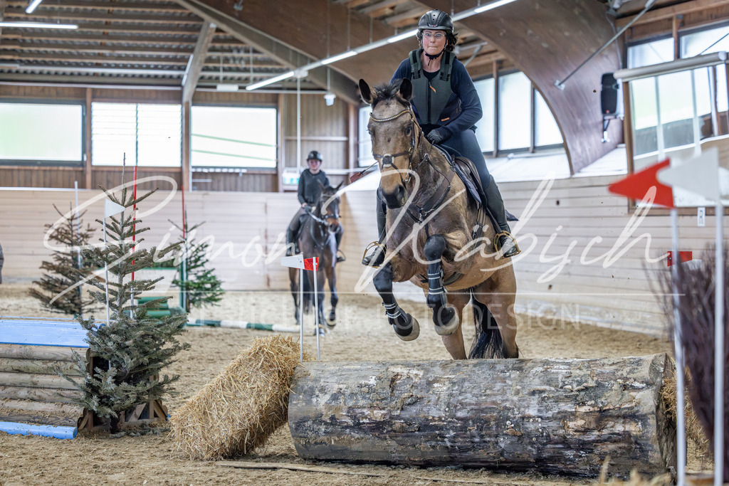20260222-_3LI1957 | Tierfotografie Pferde, Hunde, Katzen, Haustiere.
Turnierfotografie Reitturniere, Reiten, Springreiten, Dressur in Hanau, dem Main-Kinzig-Kreis und dem Rhein-Main- Gebiet um Frankfurt