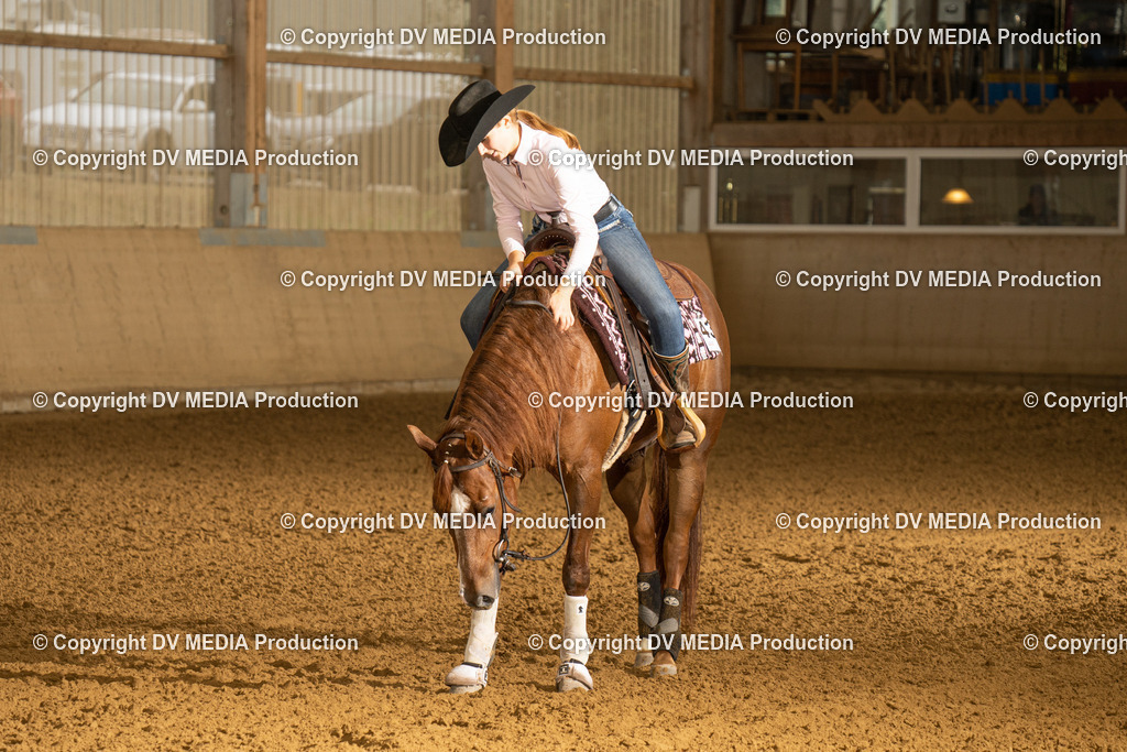 LAU00627 | dv-media-shop - Realisiert mit Pictrs.com