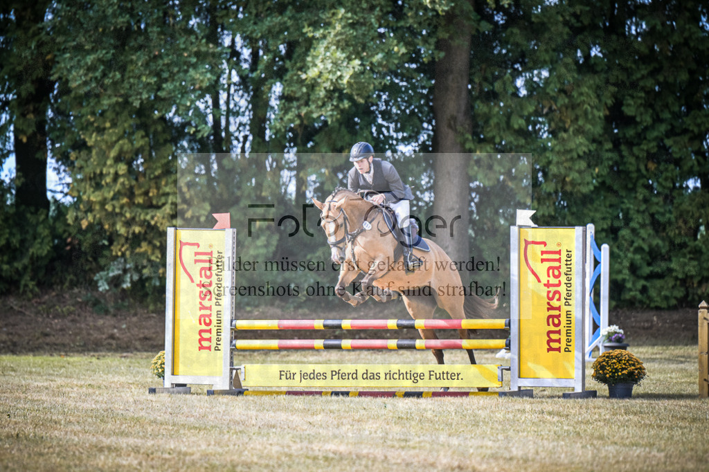 DOS_0462 | Entdecke hochwertige Reitturnierfotos von Foto Oger. Professionell, emotional und authentisch – jetzt Lieblingsmomente im Shop bestellen.Deutschlandweite Turnierfotografie. - Realisiert mit Pictrs.com