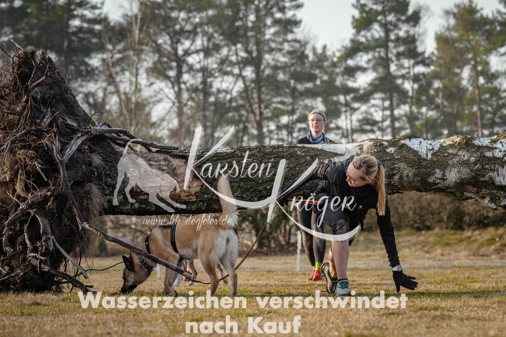 0837_ZZ95293 | kk-dogfotos