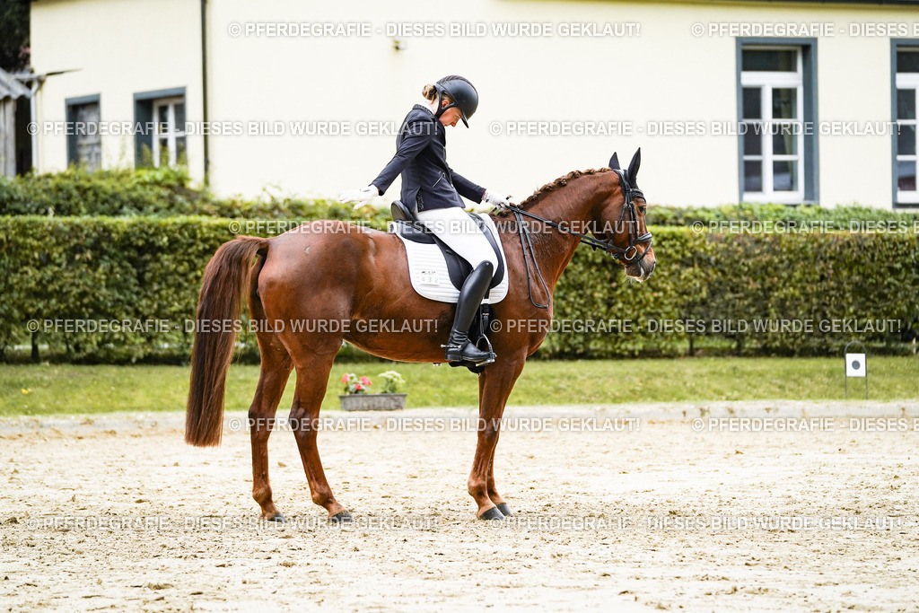 DSC07304 | Pferdegrafie