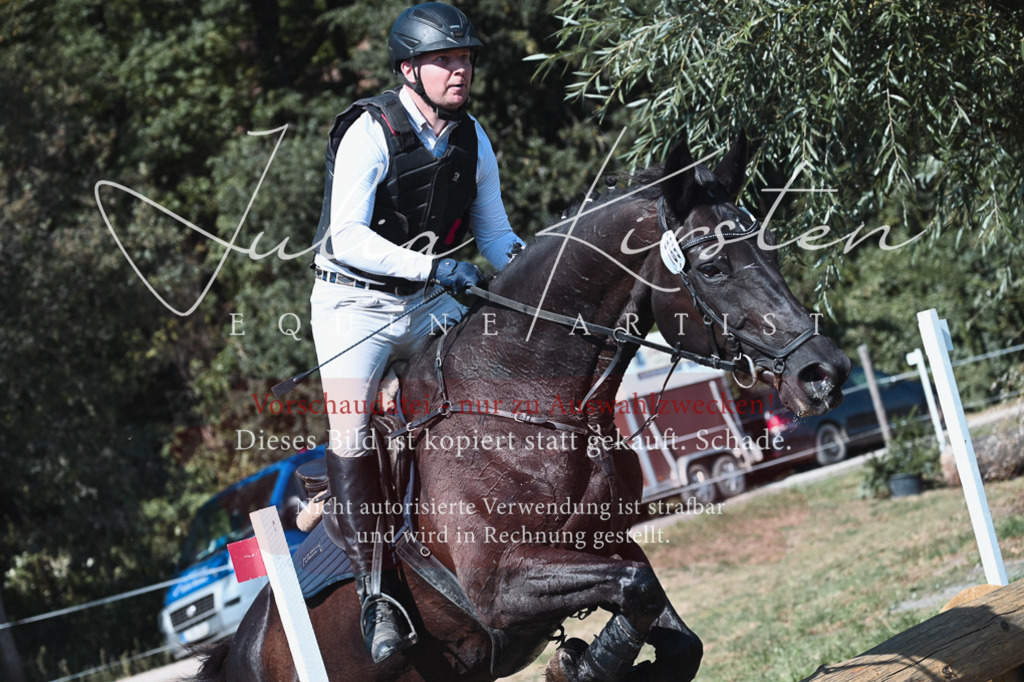 DSC_8484 | Pferde- und Turnierfotografie in Westsachsen. Pferdeportraits, Auftragszeichnungen und intuitive Kunst.