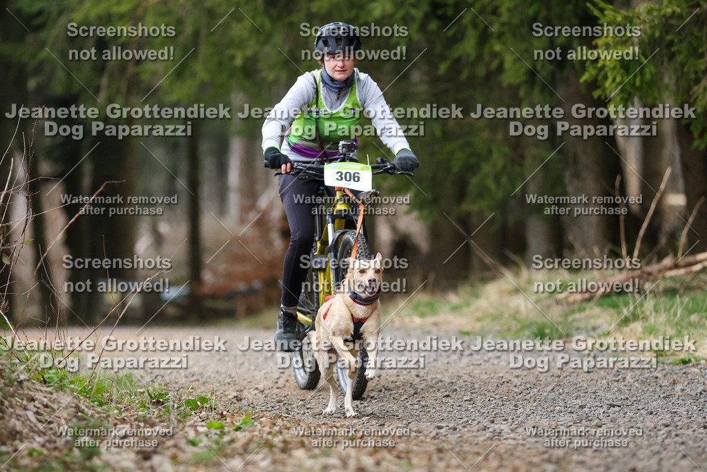 Dog Paparazzi - VCC26-580 | Dog Paparazzi Jeanette Grottendiek Fotografie & Videografie - Realisiert mit Pictrs.com