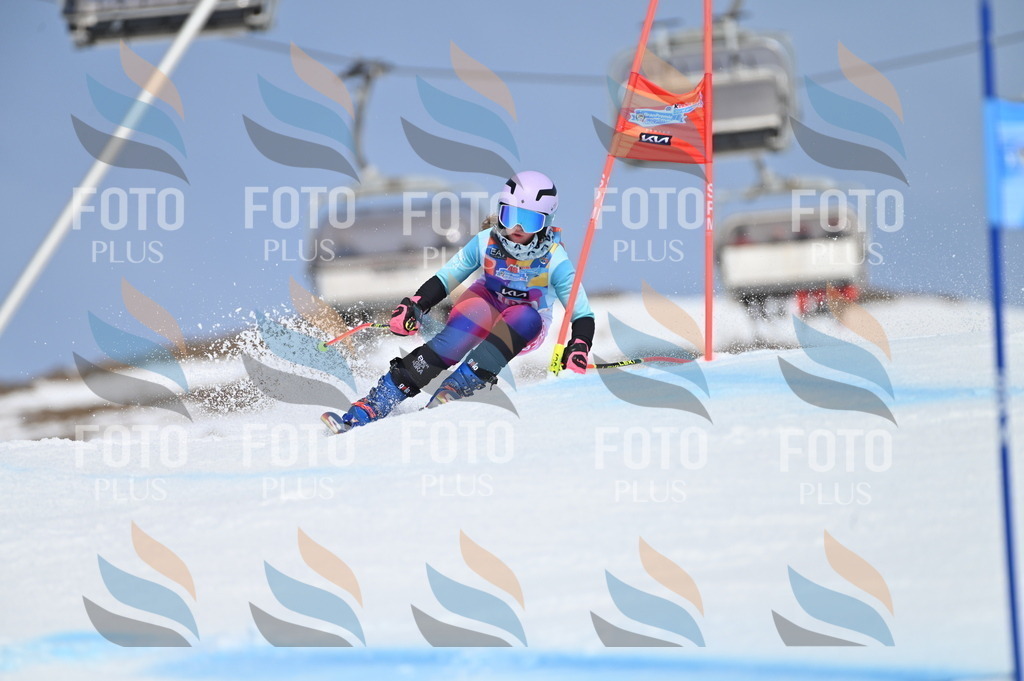 BGV_0642 | holidayphoto