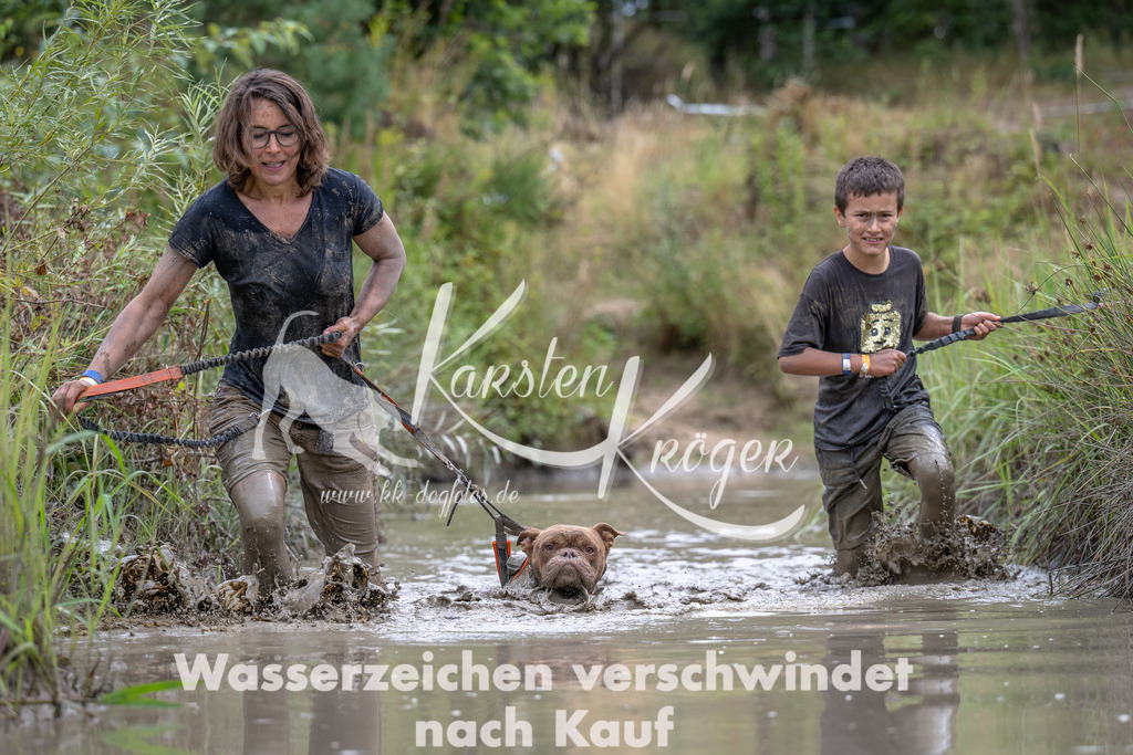 1208_ZZ96913 | kk-dogfotos