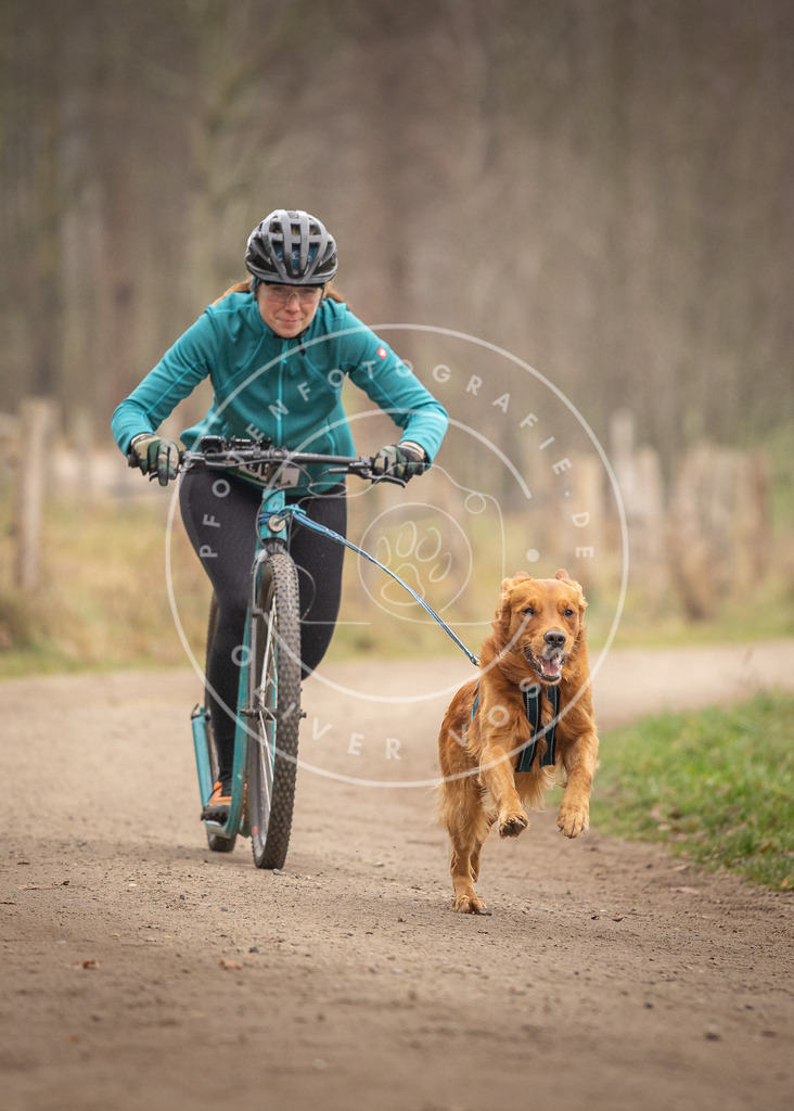 Pfotenfotografie_DV3A3248 | Hundefotografie, Tierfotograf, Pfotenfotografie, Fotoshooting Hund, Hunde Portrait, Hundesport, Hundeportraits, Heideshooting, Hunde, Sportfotograf, Hundefotograf, Turnierhundsport, THS,  - Realisiert mit Pictrs.com