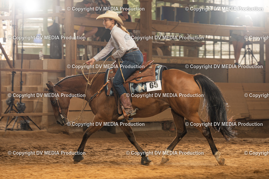 NID01700 | dv-media-shop - Realisiert mit Pictrs.com