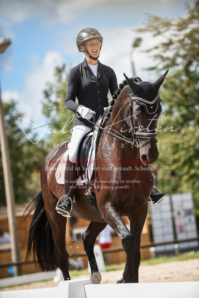 DSC_9075 | Pferde- und Turnierfotografie in Westsachsen. Pferdeportraits, Auftragszeichnungen und intuitive Kunst.