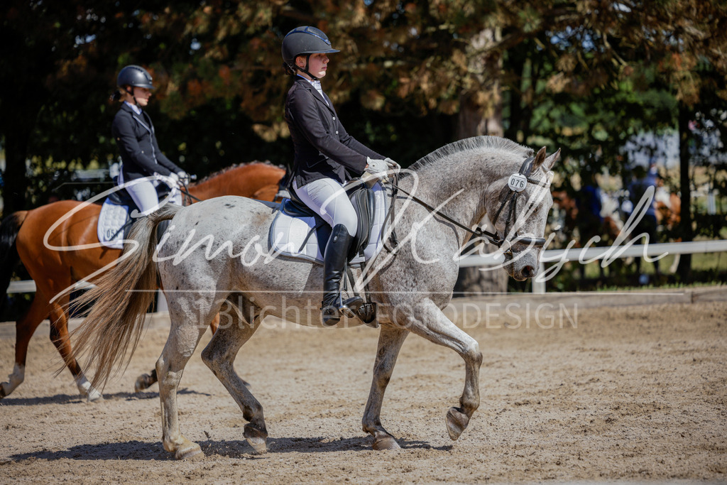 20250906-_3LI5165 | Tierfotografie Pferde, Hunde, Katzen, Haustiere.
Turnierfotografie Reitturniere, Reiten, Springreiten, Dressur in Hanau, dem Main-Kinzig-Kreis und dem Rhein-Main- Gebiet um Frankfurt