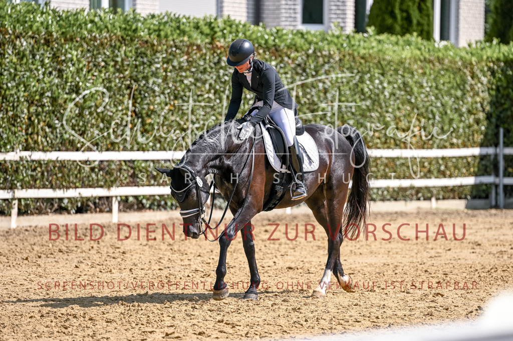 Schugtsche-Aluta25-52.Dressurprf.M2Kand-488 | Schugtsche Fotografie - Realisiert mit Pictrs.com