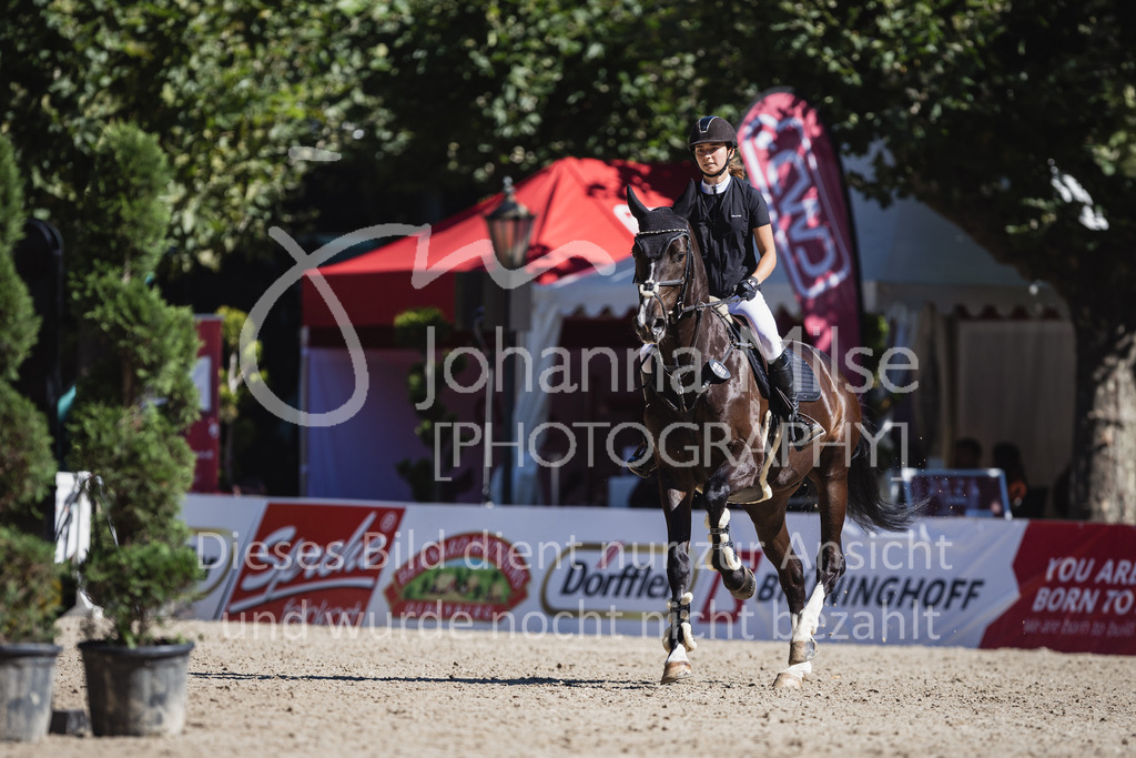 230907_OWLCh_SpringpferdeM-146 | Deine schönsten Turniermomente als professionelle Fotos! Entdecke hochwertige Pferdesport-Fotografie im Online-Shop. Jetzt Fotos finden & bestellen!