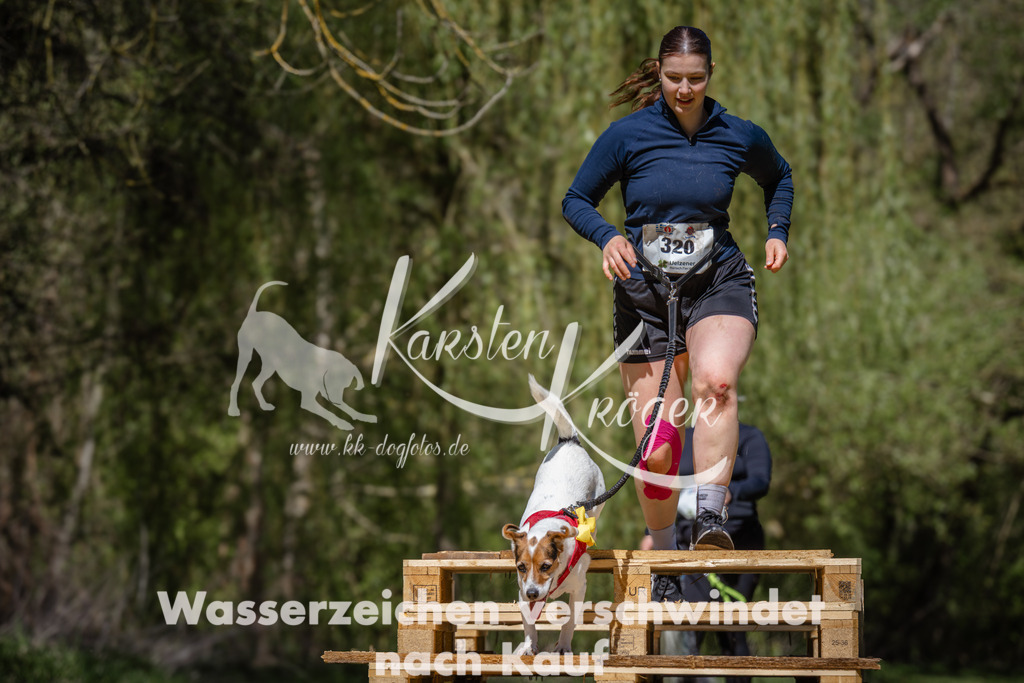 1253_ZZ94696 | kk-dogfotos