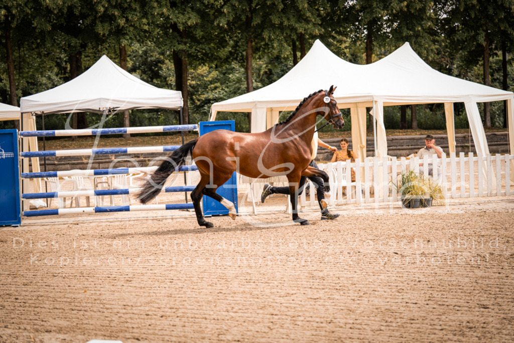 4.Fr00030 | Leoni Ertmer Photography - Realisiert mit Pictrs.com