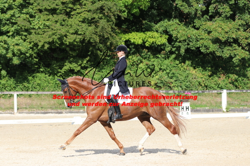 IMG_6463 | lmwpictures - Realisiert mit Pictrs.com