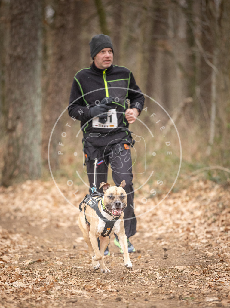 Pfotenfotografie_DV3A7640 | Hundefotografie, Tierfotograf, Pfotenfotografie, Fotoshooting Hund, Hunde Portrait, Hundesport, Hundeportraits, Heideshooting, Hunde, Sportfotograf, Hundefotograf, Turnierhundsport, THS,  - Realisiert mit Pictrs.com
