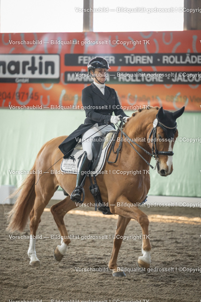 _D5A7912 | Emotionale Pferde- & People-Fotografie rund um Heidelberg, Leimen & Umgebung. Natürliche Fotos von Pferd, Mensch & Familie. Jetzt Termin sichern!