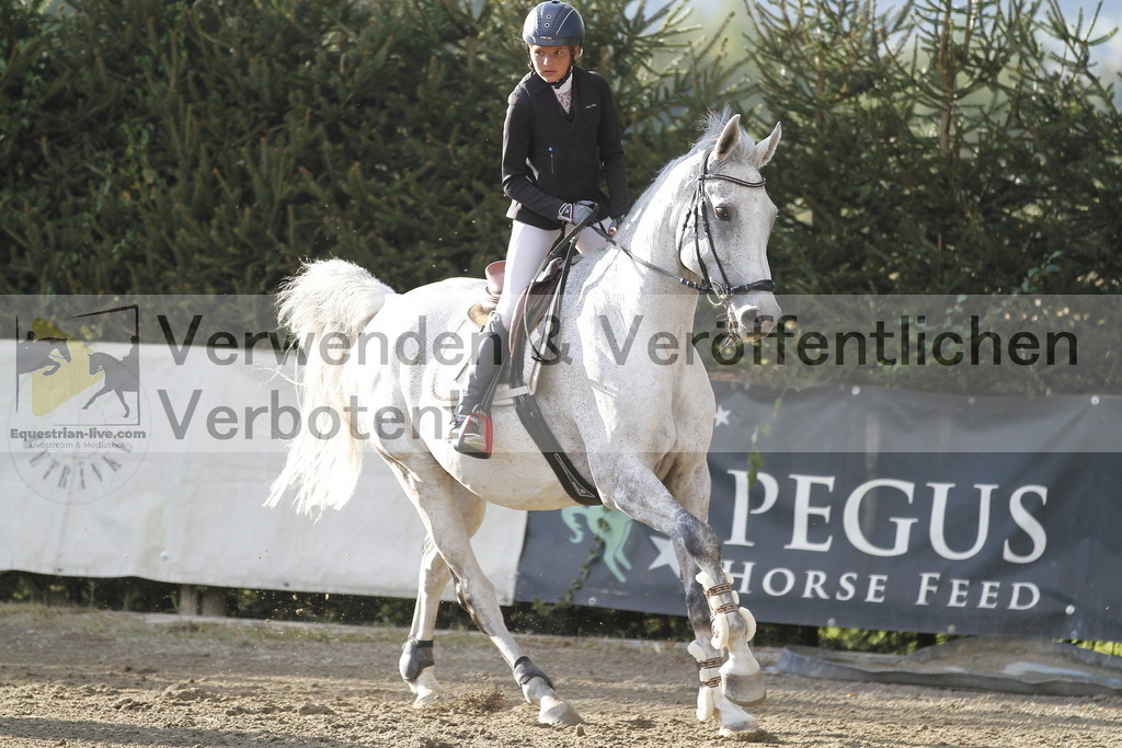 _MG_4129 | equestrian-live-com