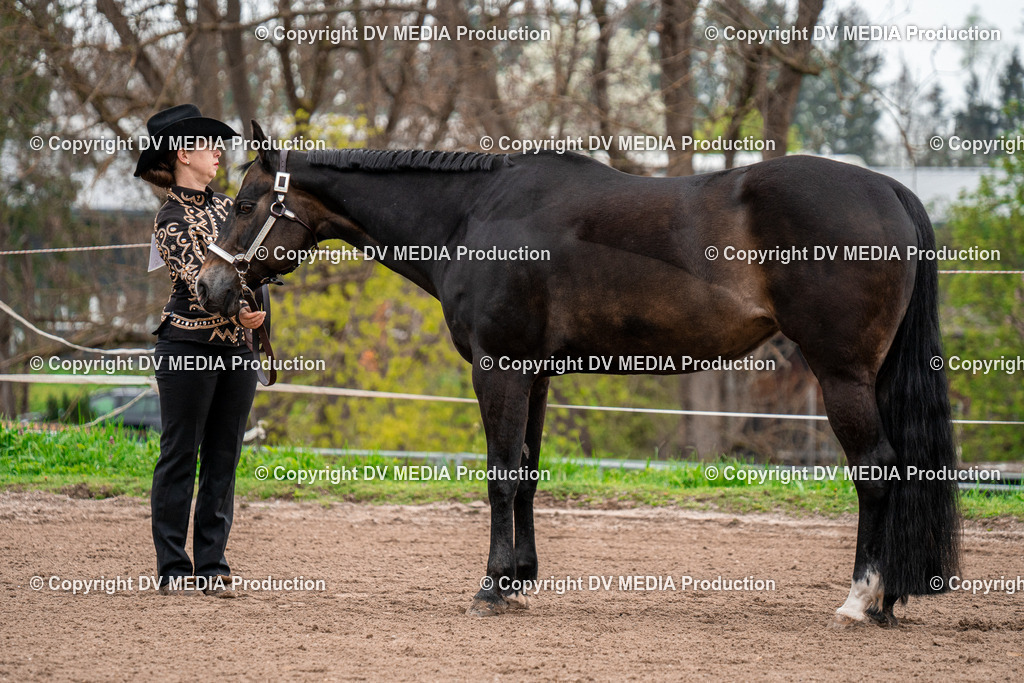 BA300122 | dv-media-shop - Realisiert mit Pictrs.com