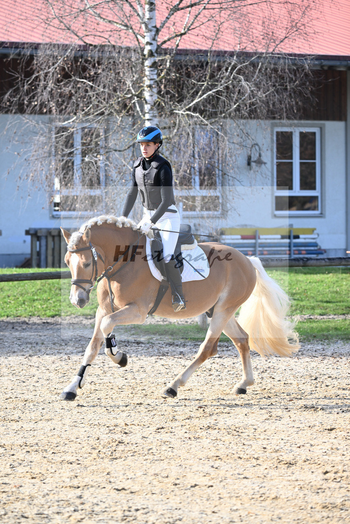 Kat-Nr. 6 Solero-D_Mahlknecht_44240863 | hf-fotografie - Realisiert mit Pictrs.com