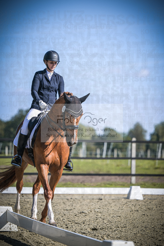 DOS_2586 | Entdecke hochwertige Reitturnierfotos von Foto Oger. Professionell, emotional und authentisch – jetzt Lieblingsmomente im Shop bestellen.Deutschlandweite Turnierfotografie. - Realisiert mit Pictrs.com