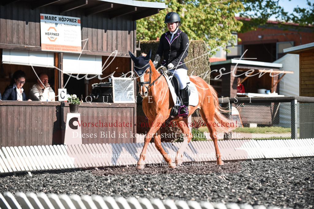DSC_8447 | Pferde- und Turnierfotografie in Westsachsen. Pferdeportraits, Auftragszeichnungen und intuitive Kunst.