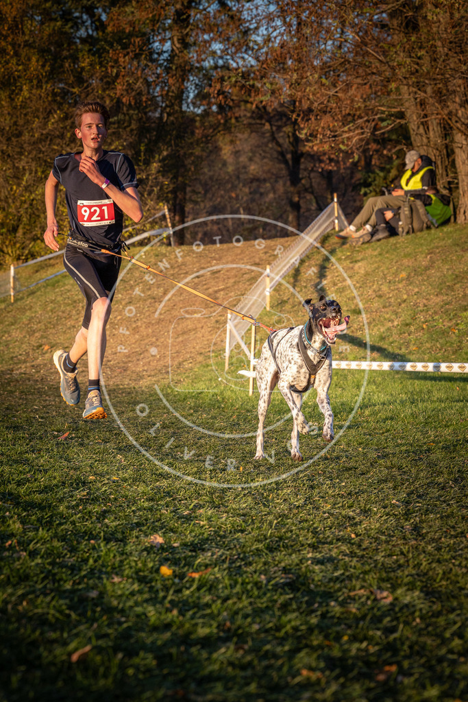 CaniXpix_0L8A1610 | Hundefotografie, Tierfotograf, Pfotenfotografie, Fotoshooting Hund, Hunde Portrait, Hundesport, Hundeportraits, Heideshooting, Hunde, Sportfotograf, Hundefotograf, Turnierhundsport, THS,  - Realisiert mit Pictrs.com