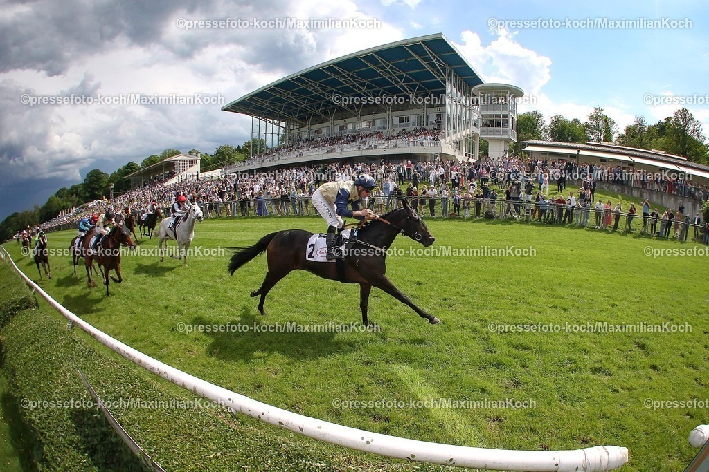 Due26052499901 | Darnation siegt unter Adrie de Vries in den WEMPE 104. German 1.000 Guineas, Gr.2  am 26.05.2024 Renntag in Düsseldorf. Copyright by Marc Ruehl - Veroeffentlichung nur gegen Honorar (zzgl.MwSt), Namensnennung und Beleg, Bank Routing Number: BIC GENODED1PAF, Bank Account Number: IBAN DE04 3706 2600 1201 6180 17, Steuer-Nr.: 203/5266/0306, Ust_Id_Nr.: De 122081417, Zur Gaulshuette 29, 50181 Bedburg, Phone: +49-(0)2272-83351, www.marcruehl.com, info@marcruehl.com, No Model Release, Abtretung von Persoenlichkeitsrechten der abgebildeten Person/Personen liegen nicht vor. Speichern in Bilddatenbanken oder Vervielfaeltigung ist ohne schriftliche Genehmigung nicht gestattet.
