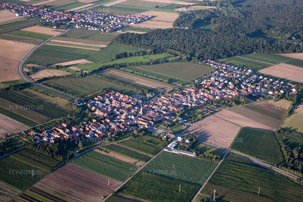 Luftbild: Ortsansicht aus Südosten in Erlenbach bei Kandel im Bundesland Rheinland-Pfalz in Deutschland. Foto: IMG_51142.jpg vom 22.07.2012 durch Werner Riehm/FLY-FOTO.de