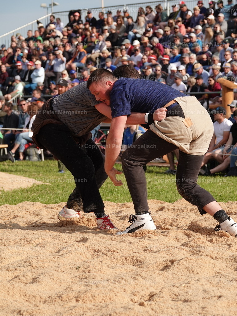 DSC06644 | Schwingen - Realisiert mit Pictrs.com