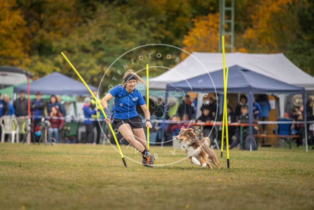 Pfotenfotografie_DV3A3607 | Hundefotografie, Tierfotograf, Pfotenfotografie, Fotoshooting Hund, Hunde Portrait, Hundesport, Hundeportraits, Heideshooting, Hunde, Sportfotograf, Hundefotograf, Turnierhundsport, THS,  - Realisiert mit Pictrs.com