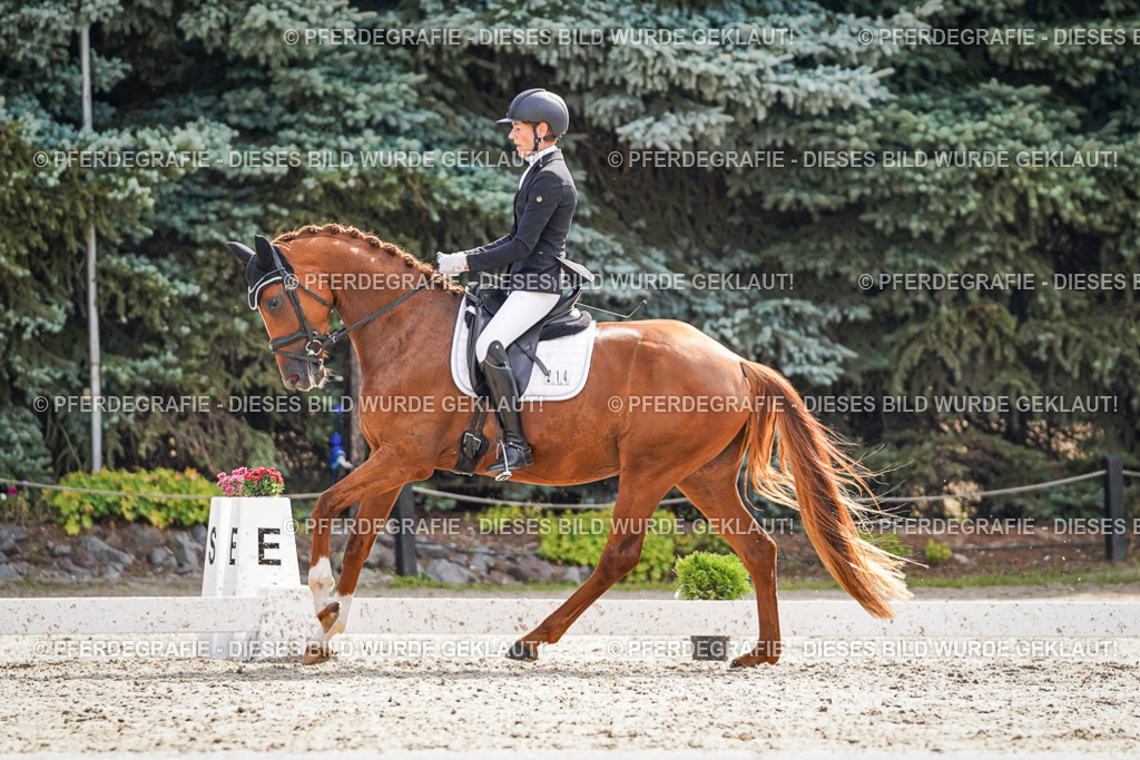 DSC07161 | Pferdegrafie