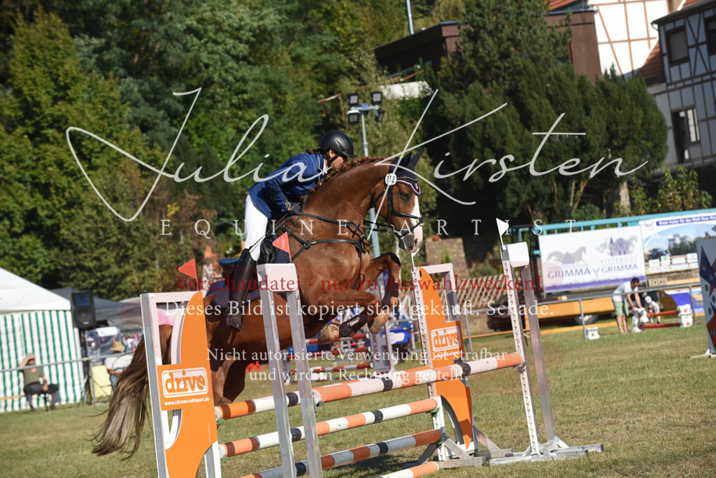 DSC_5331 | Pferde- und Turnierfotografie in Westsachsen. Pferdeportraits, Auftragszeichnungen und intuitive Kunst.