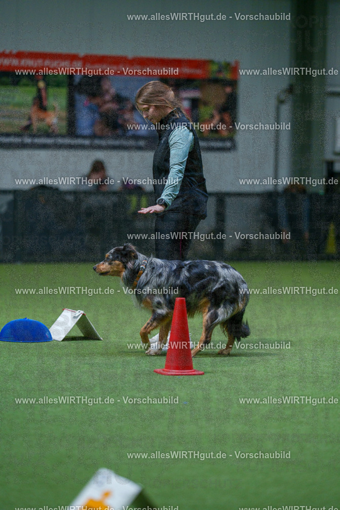 7R503106 | Professionelle Tierfotografie in Mönchengladbach von Daniel Wirth (allesWIRTHgut). Liebevolle & natürliche Bilder von Hunden & Katzen für unvergessliche Erinnerungen.